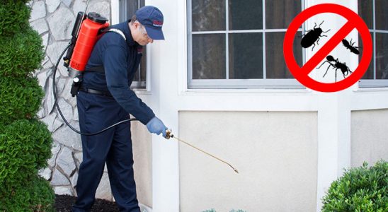 Büyükorhan Akrep İlaçlama böcek ilaçlama ve haşere kontrolü — ilaclama-tr.com